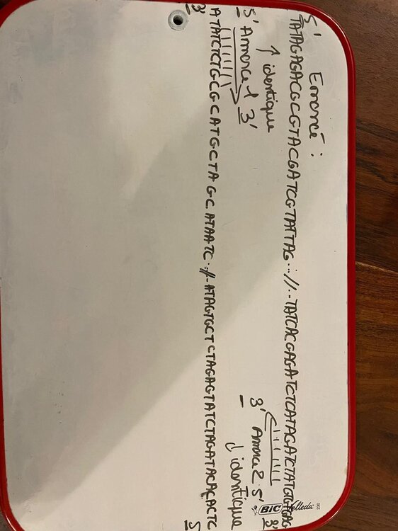 WhatsApp Image 2024-12-06 à 20.01.52_45d36e14.jpg