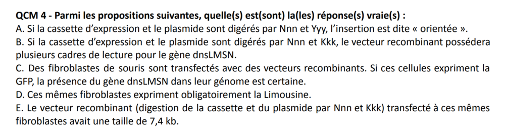 Capture d’écran (5).png