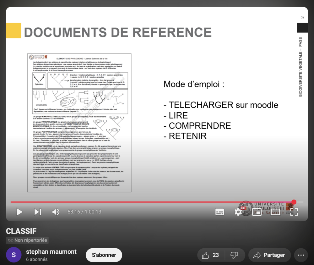 Capture d’écran doc de référence  Phylogénie.png