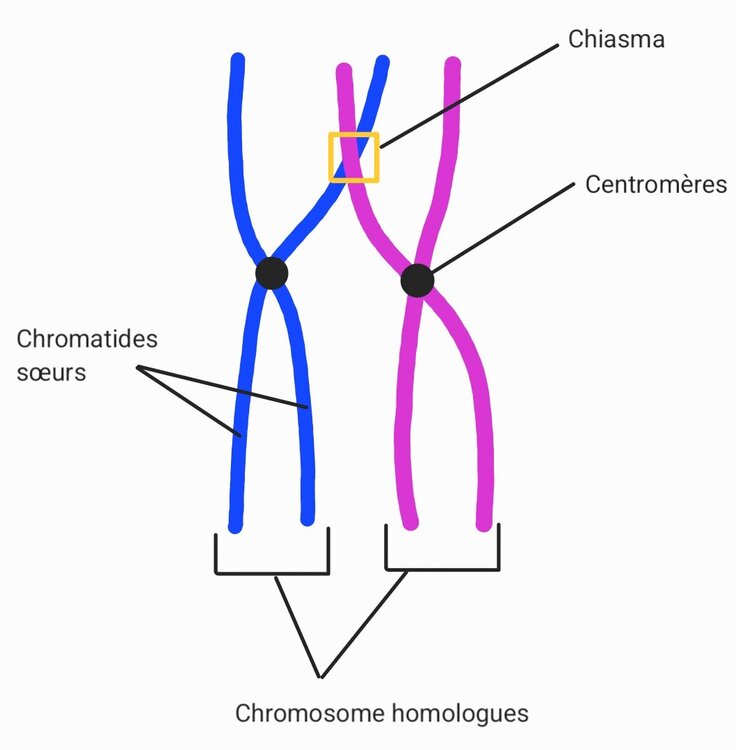 SmartSelect_20250125_102524_Samsung Notes.jpg