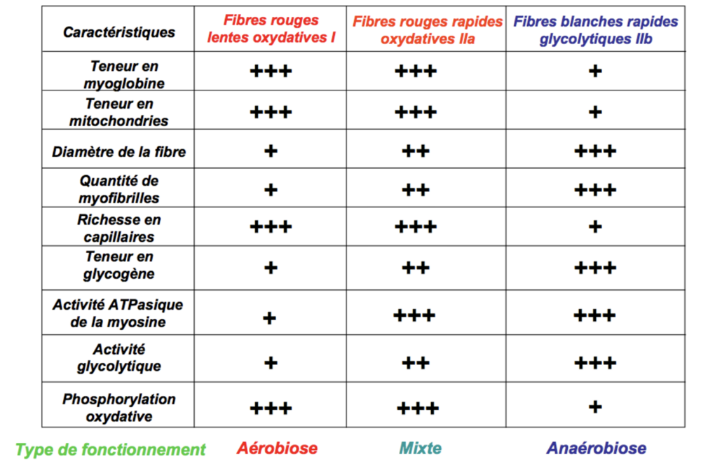 Capture d’écran 2025-02-01 à 17.32.35.png