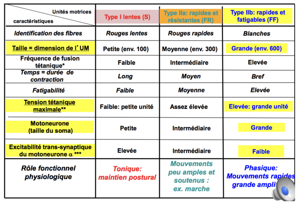 Capture d’écran 2025-02-01 à 17.32.50.png