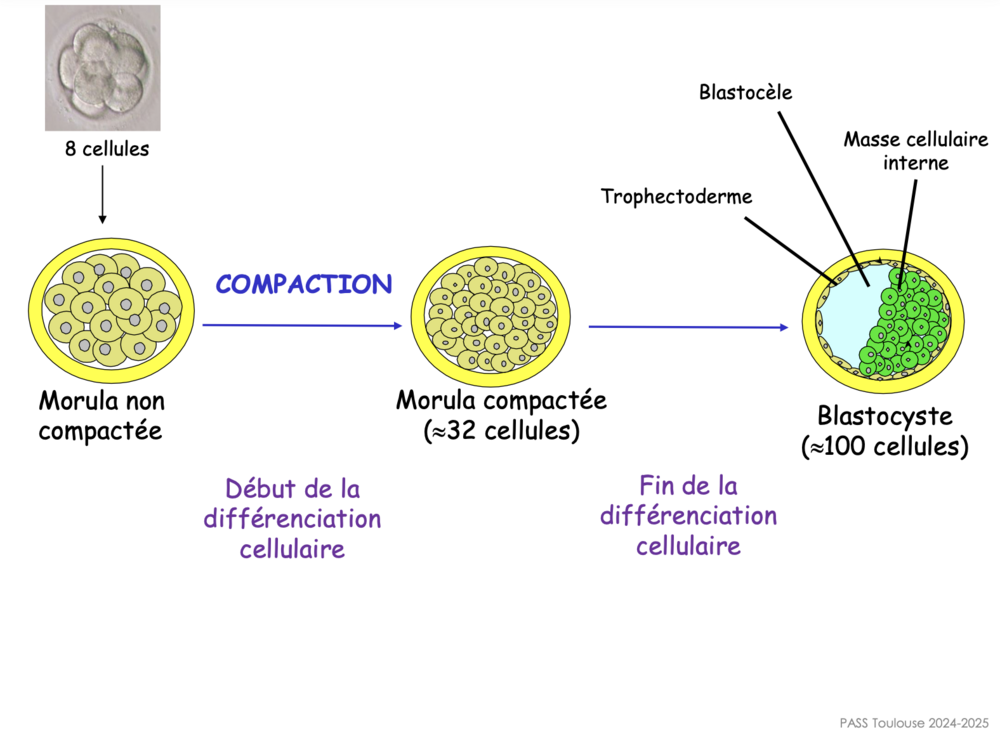 Capture d’écran 2025-02-09 à 18.37.38.png