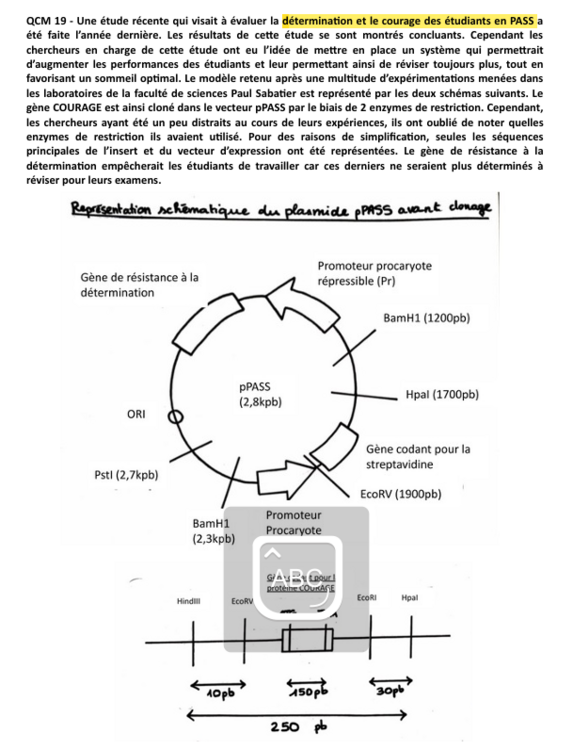 Capture d'écran EB 22-23 recherche 1.png