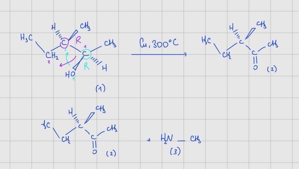 Screenshot_20250219_114215_Samsung Notes.jpg