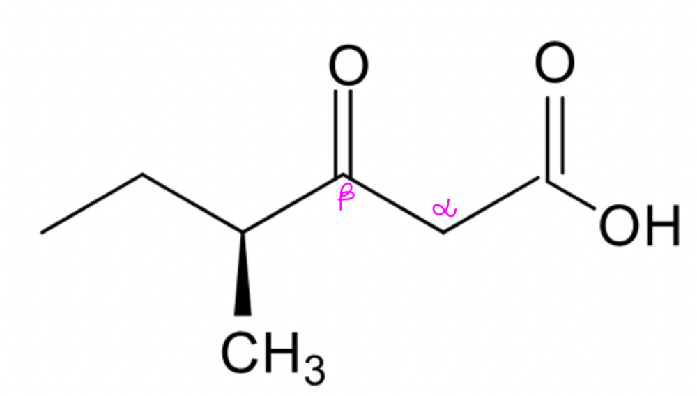 Capture d’écran 2025-03-12 à 14.24.38.png