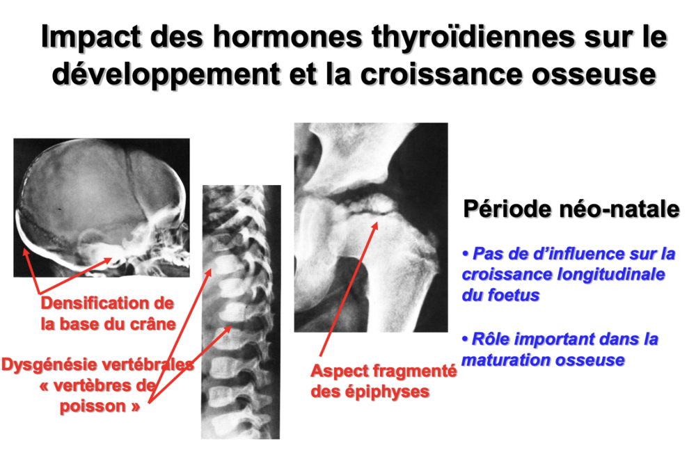 Capture d’écran 2025-03-20 à 10.37.28.png