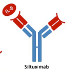 silviatuximab
