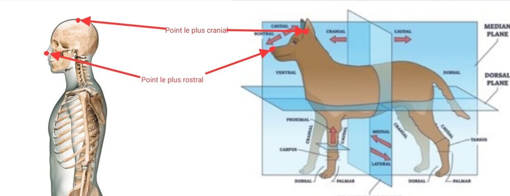 Screenshot_20250929_164604_Samsung Notes.jpg