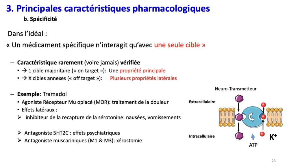 Capture d’écran 2025-10-05 à 12.59.53.png