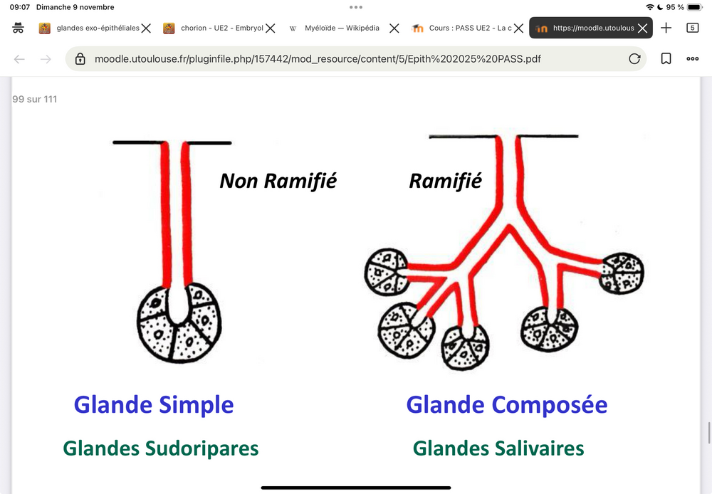 Capture d’écran . 2025-11-09 à 09.07.15.png