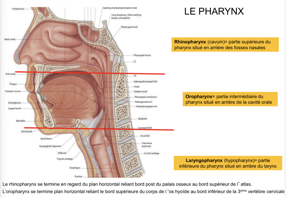 Capture d’écran . 2025-11-25 à 14.51.34.png