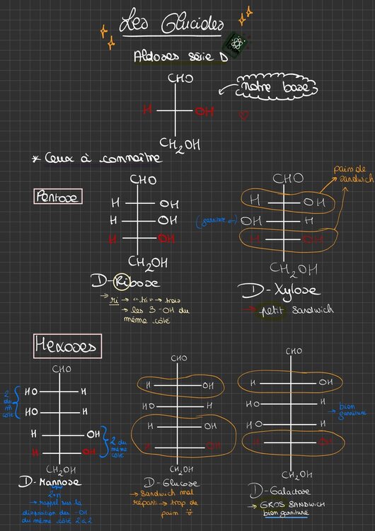 FC actu 4 glucides_page-0001.jpg