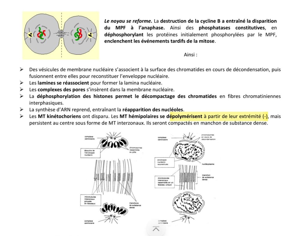 Screenshot_20251127_003250_Samsung Notes.jpg