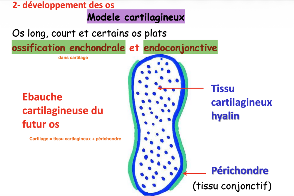Capture d’écran 2025-12-06 à 15.54.30.png