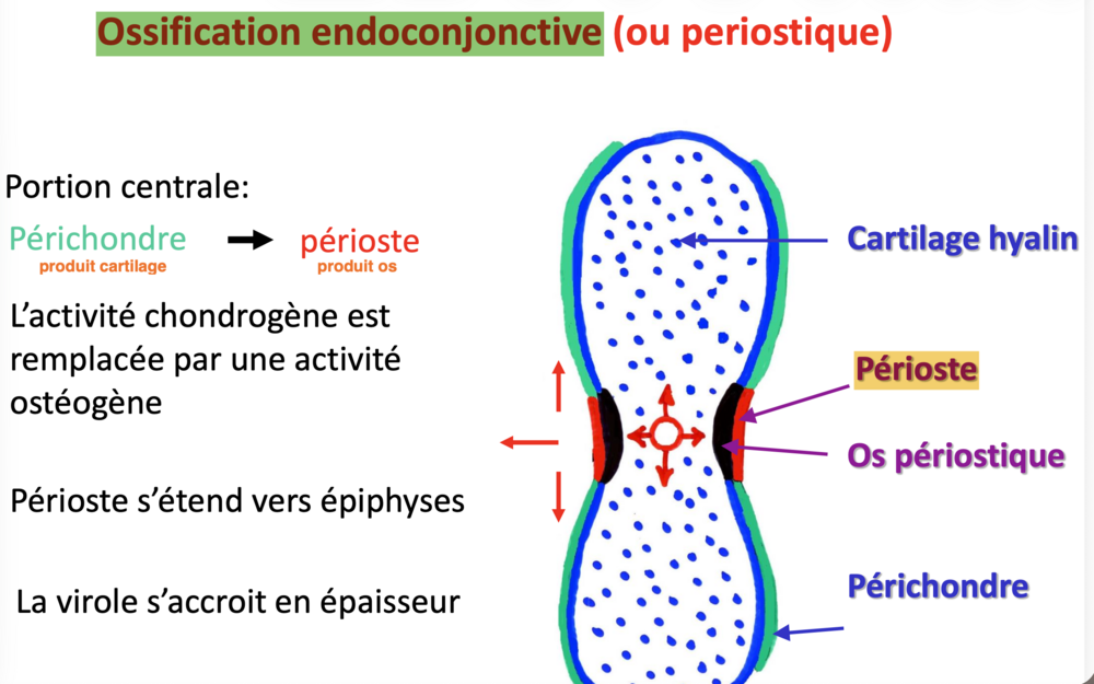 Capture d’écran 2025-12-06 à 16.01.20.png