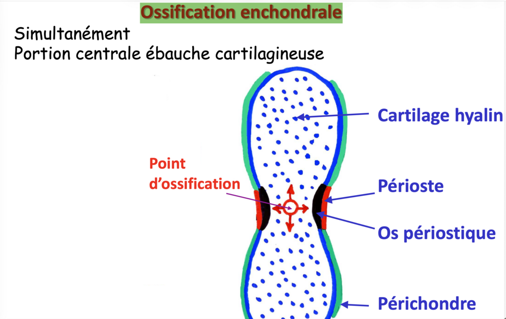 Capture d’écran 2025-12-06 à 16.01.39.png