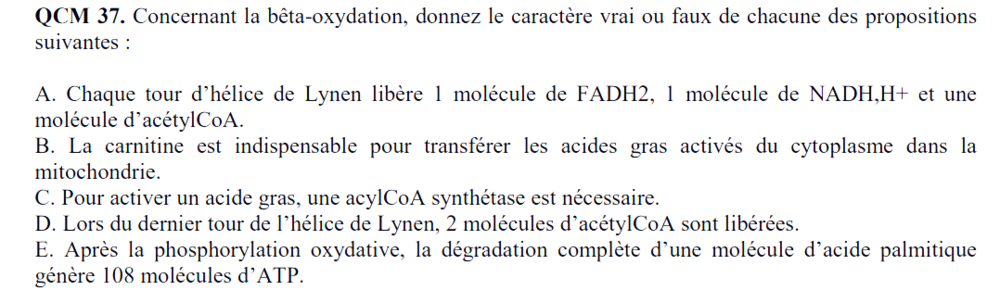 Capture d'écran 2025-12-11 185206.png