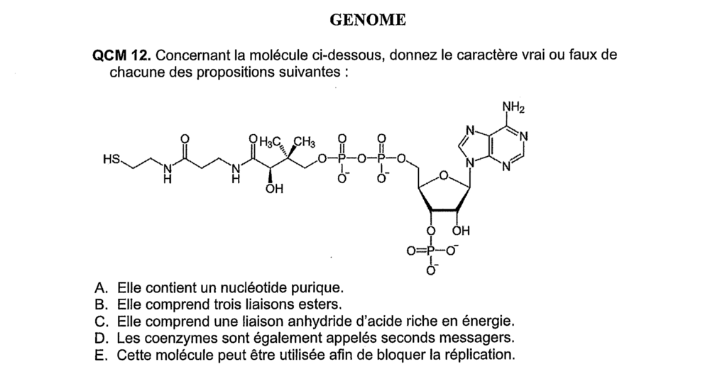Capture d’écran 2025-12-13 à 13.47.18.png