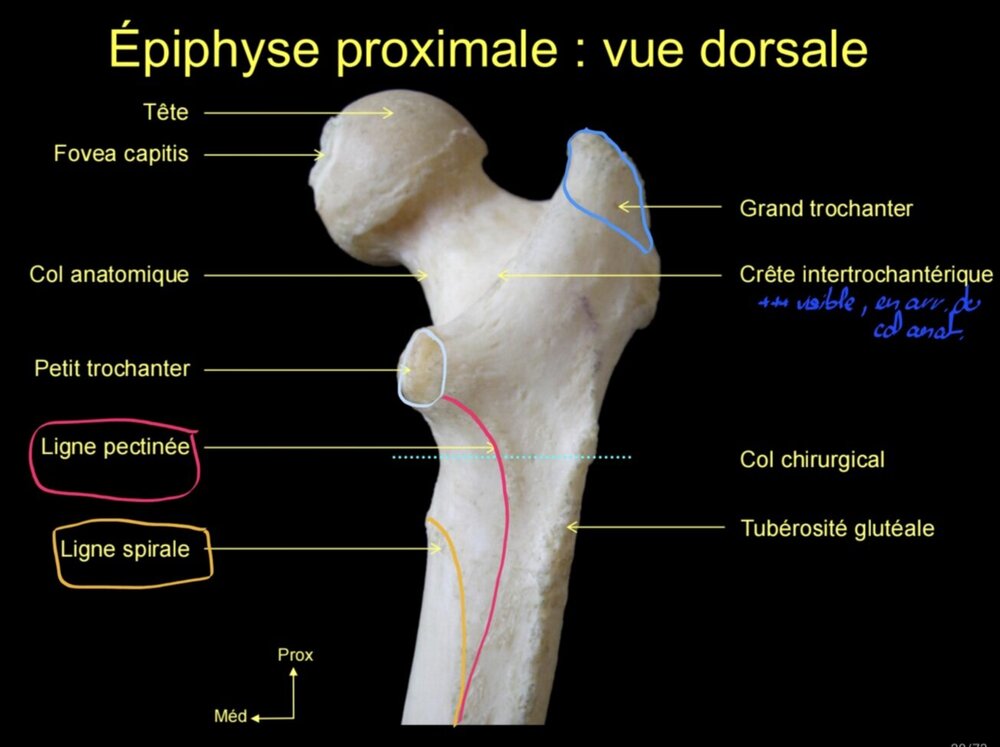 Screenshot_20251214_194131_Samsung Notes.jpg