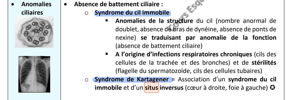 SmartSelect_20251204_150948_Samsung Internet.jpg