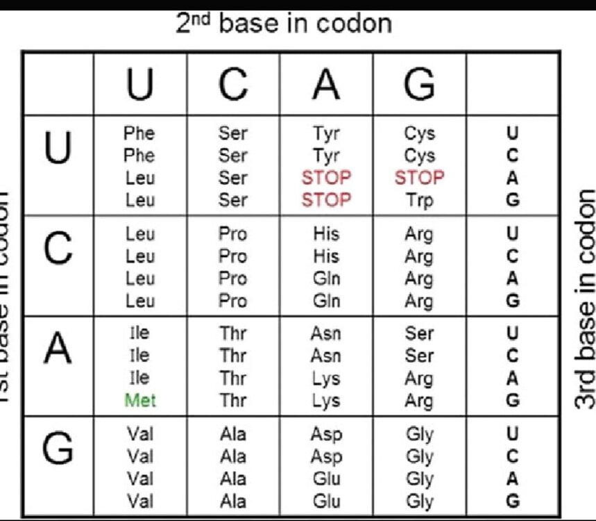 WhatsApp Image 2025-12-02 à 15.10.18_7f706a63.jpg