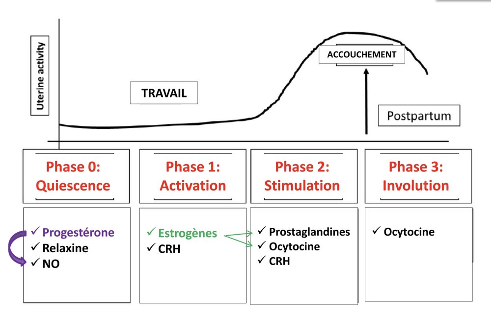 AISelect_20260227_100158_Samsung Notes.jpg