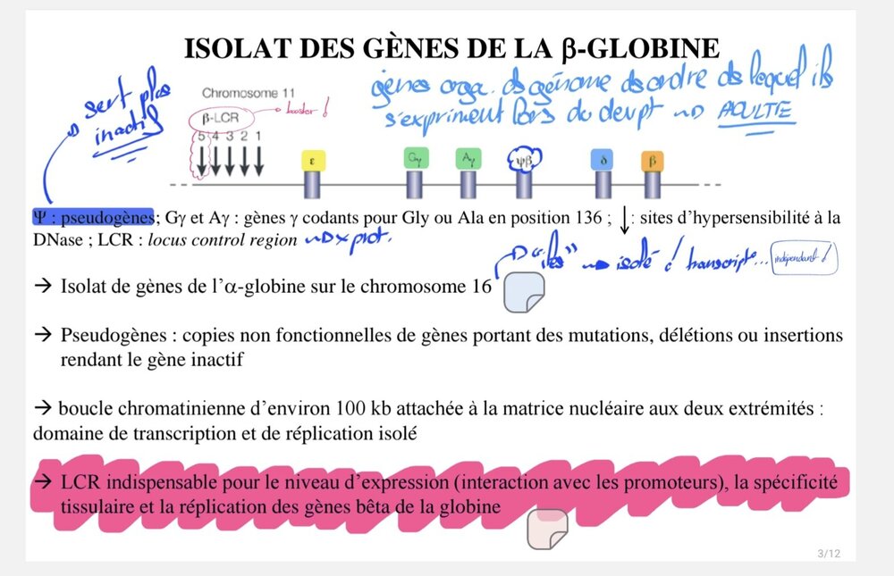 Screenshot_20260205_102328_Samsung Notes.jpg