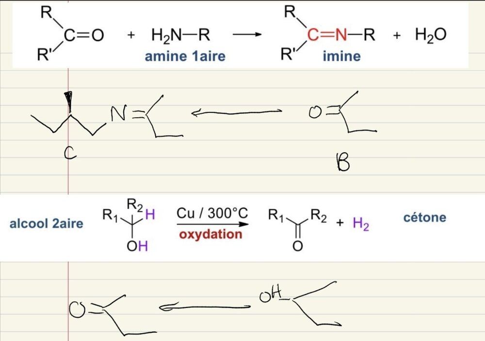 Screenshot_20260224_151941_Samsung Internet.jpg