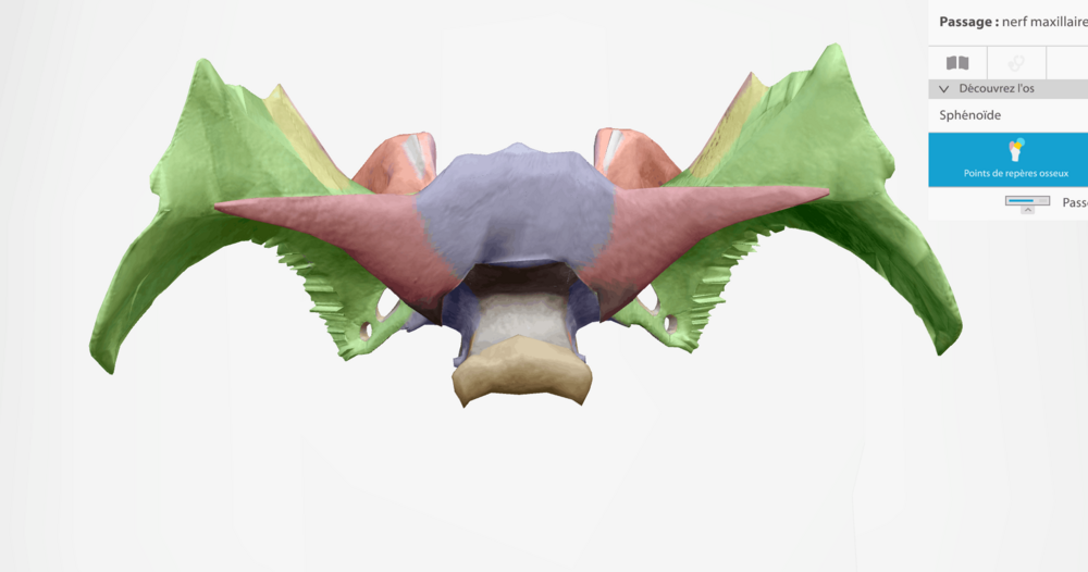 Capture d'écran 2026-03-16 142744.png